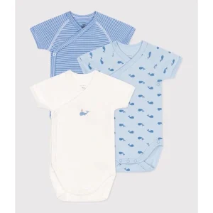 Ensemble de 3 Bodies en Coton à Manches Courtes - Baleine/Bleu