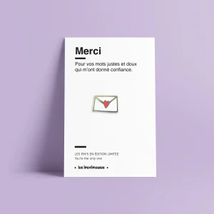 Pin's - Lettre -  Maîtresse / Maître - Spécial fête fin d'année scolaire